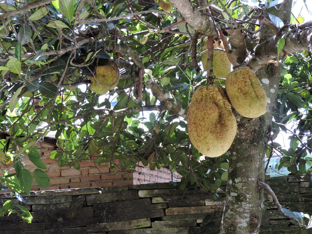 Hotel Pousada Casa Da Serra São Tomé das Letras Zewnętrze zdjęcie