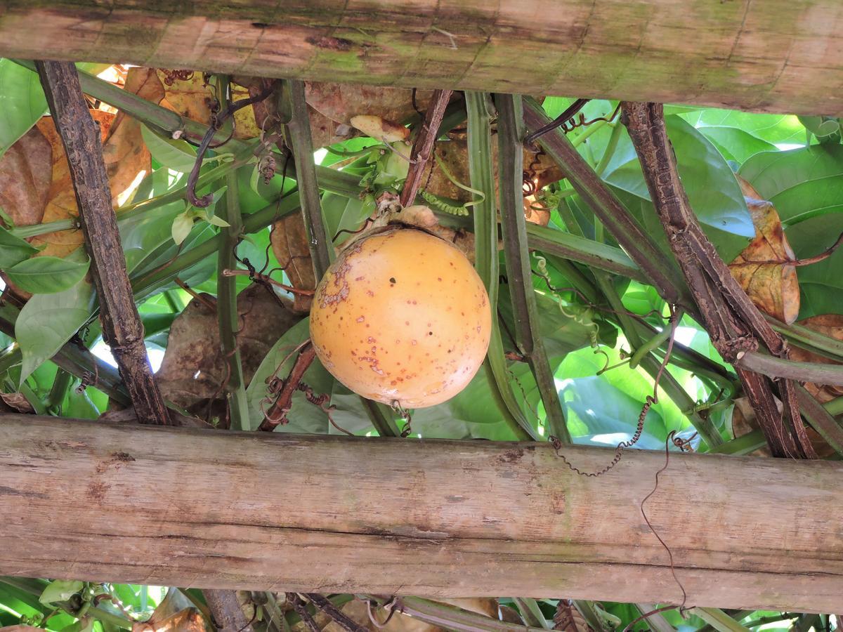 Hotel Pousada Casa Da Serra São Tomé das Letras Zewnętrze zdjęcie